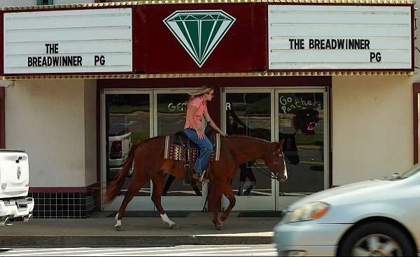 roping-quarter-horse