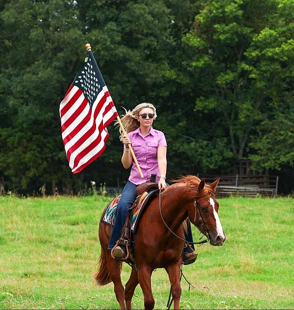trail-riding-quarter-horse