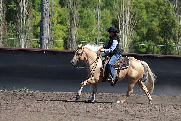 calf-roping-quarter-horse