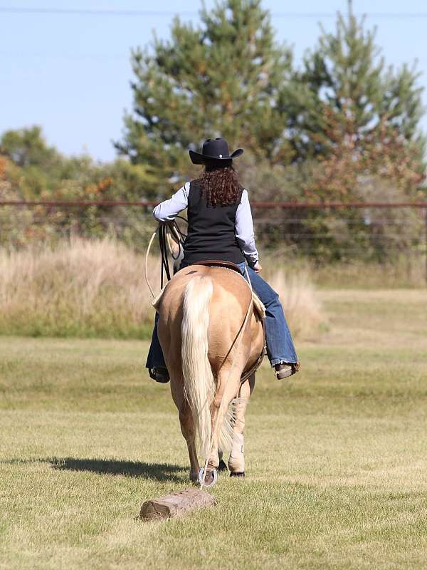 athletic-quarter-horse