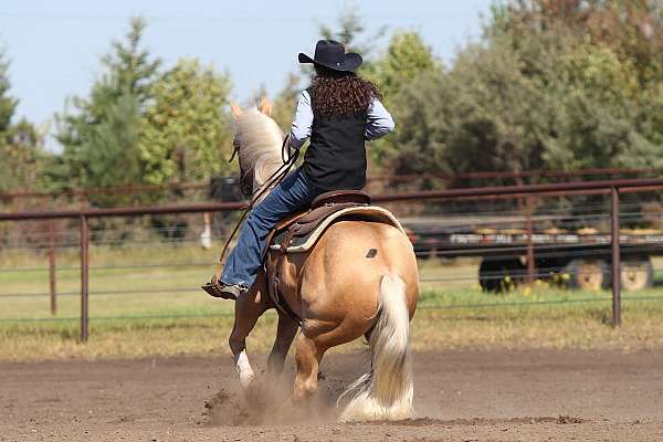 ranch-quarter-horse