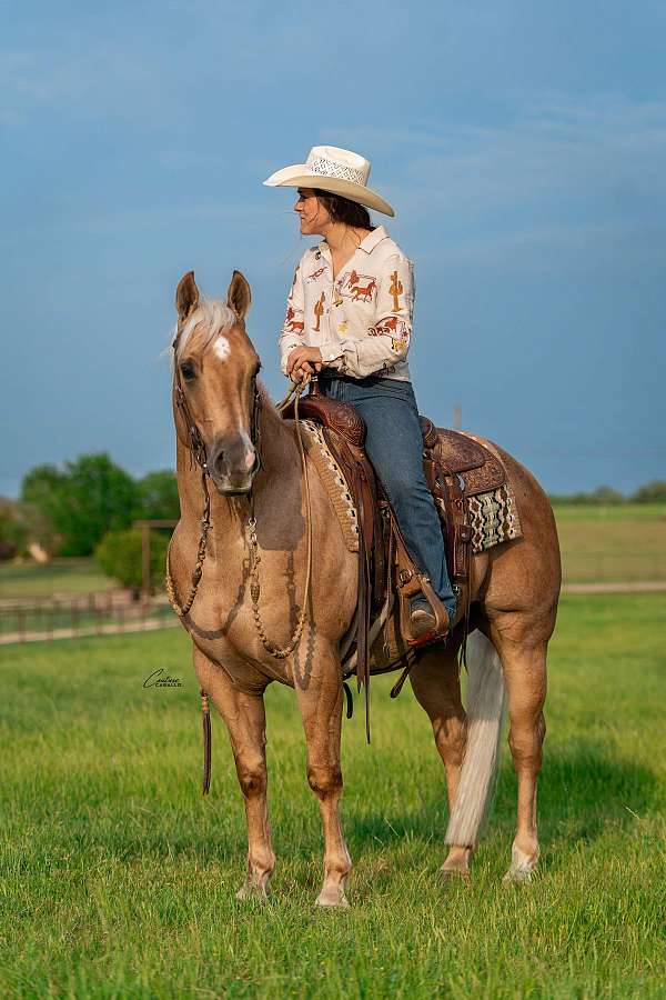 trail-riding-quarter-horse