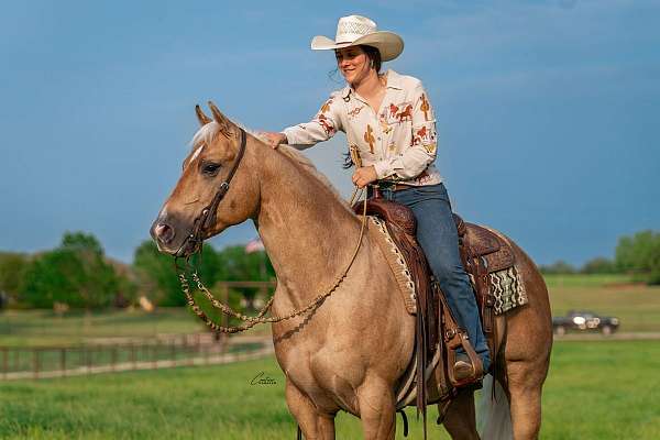 western-riding-quarter-horse