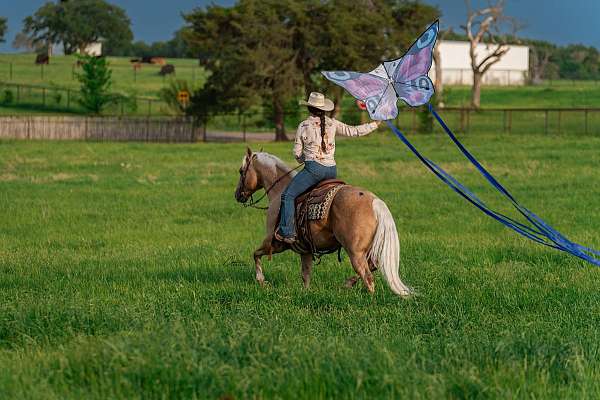 working-cow-quarter-horse