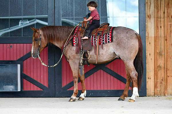 ranch-work-quarter-horse