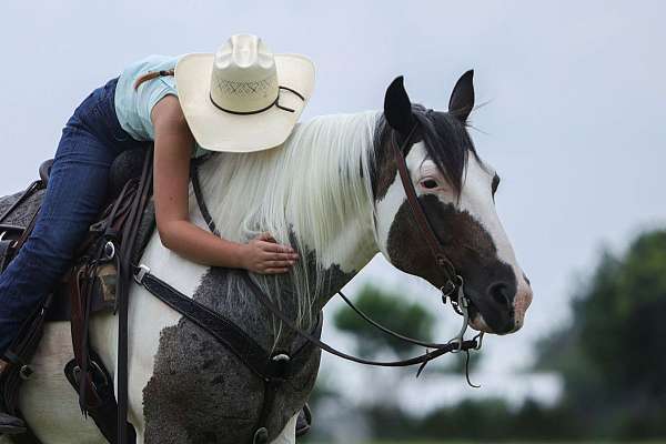trail-riding-quarter-horse