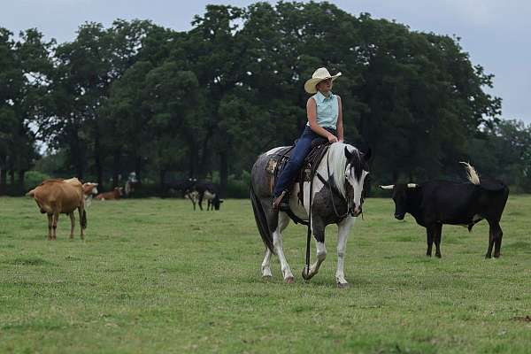 youth-quarter-horse