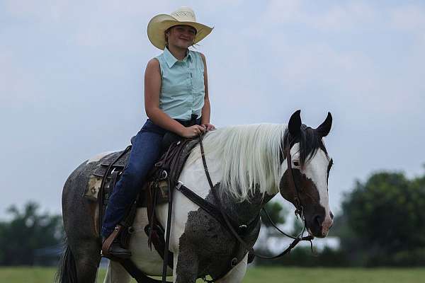 roping-quarter-horse