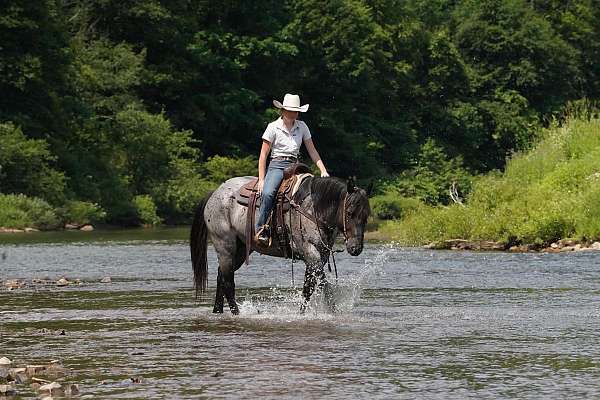 youth-quarter-horse