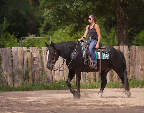 jumping-gypsy-vanner-horse