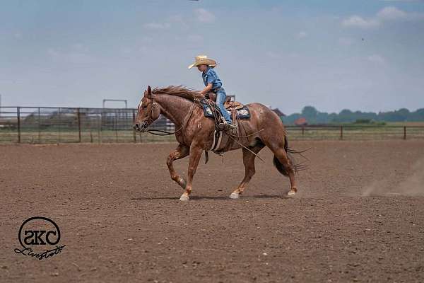 ranch-versatility-quarter-horse