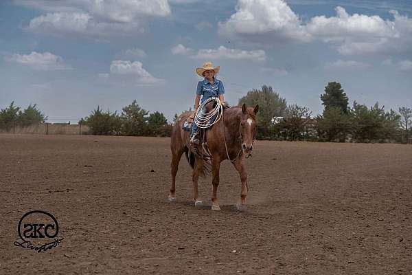 ranch-work-quarter-horse