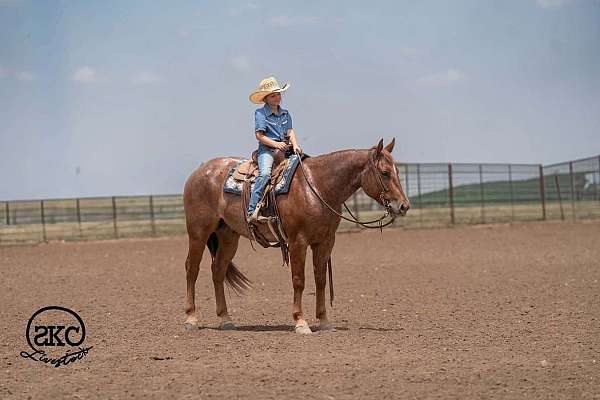 roping-quarter-horse