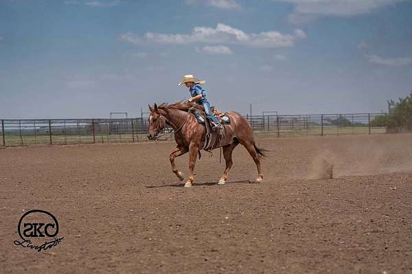 trail-riding-quarter-horse