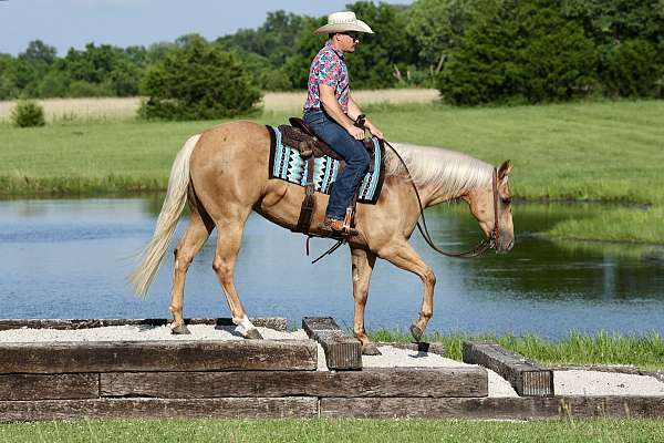 ranch-versatility-quarter-horse
