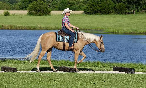 ranch-work-quarter-horse