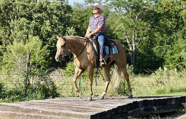 reining-quarter-horse