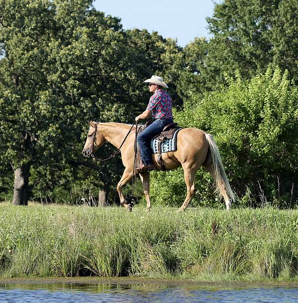 roping-quarter-horse