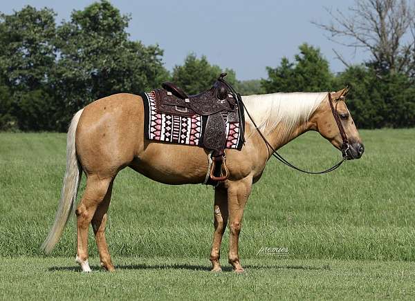 youth-quarter-horse