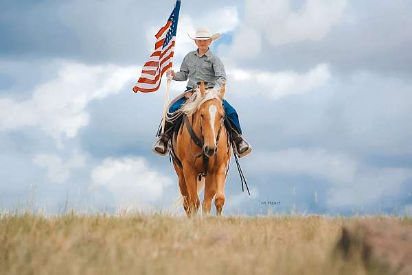 ranch-versatility-quarter-horse