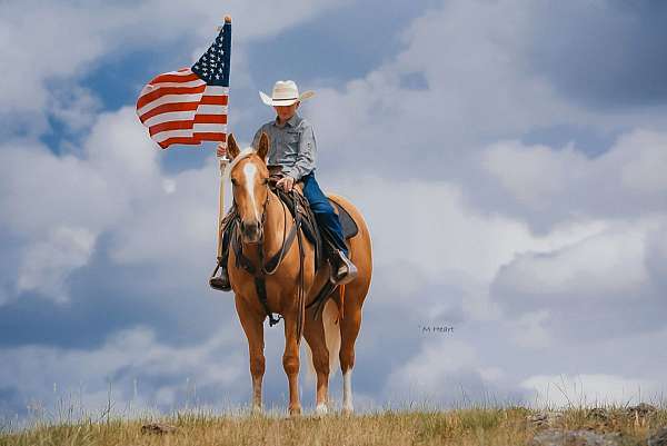 ranch-work-quarter-horse