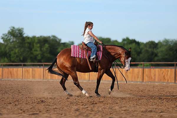 ranch-work-quarter-horse