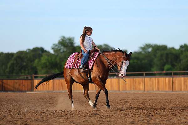 reining-quarter-horse