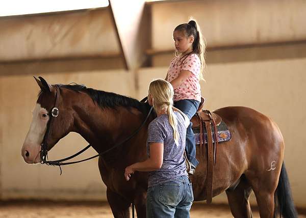 roping-quarter-horse