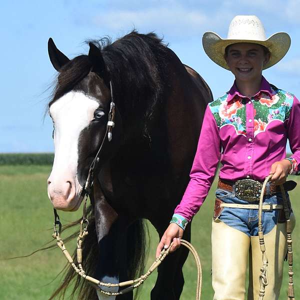 ranch-work-pinto-horse