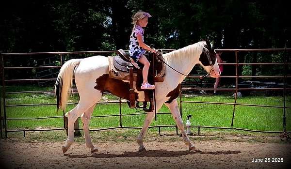 husband-safe-horse-paint