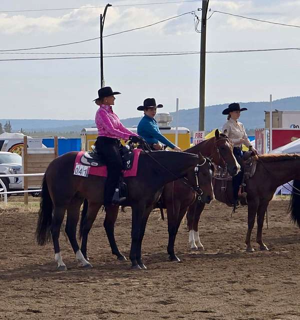 horsemanship-quarter-horse