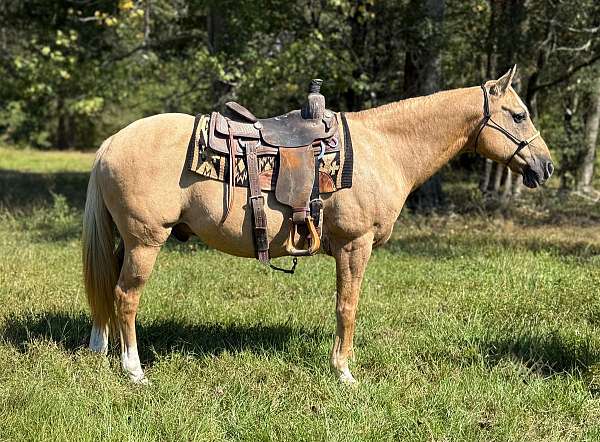 athletic-quarter-horse