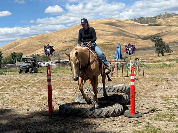 ranch-quarter-horse
