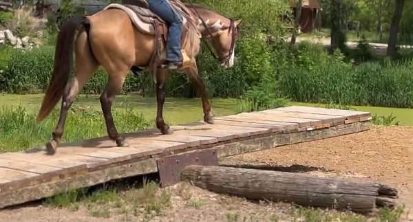 husband-safe-paint-horse