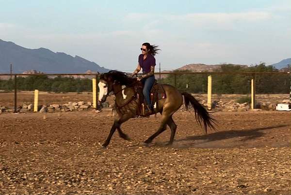 ranch-versatility-paint-horse