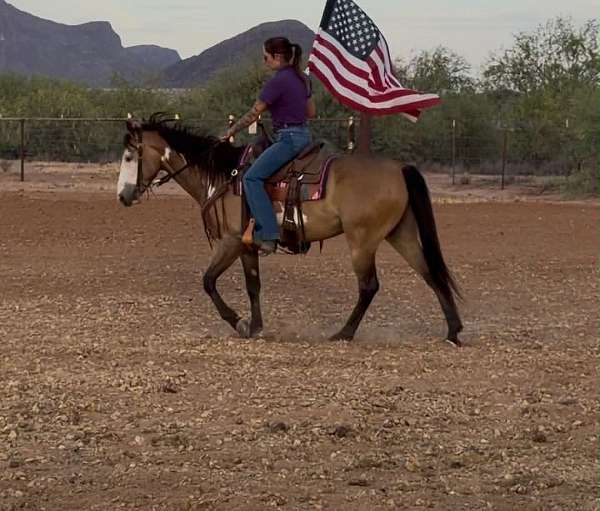 ranch-work-paint-horse