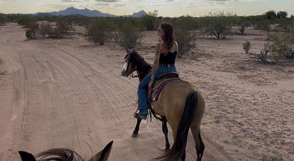 ridden-western-paint-horse