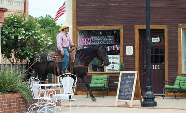 ranch-versatility-quarter-horse