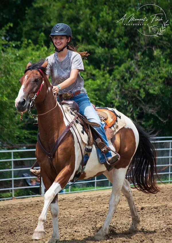 paint-horse-for-sale
