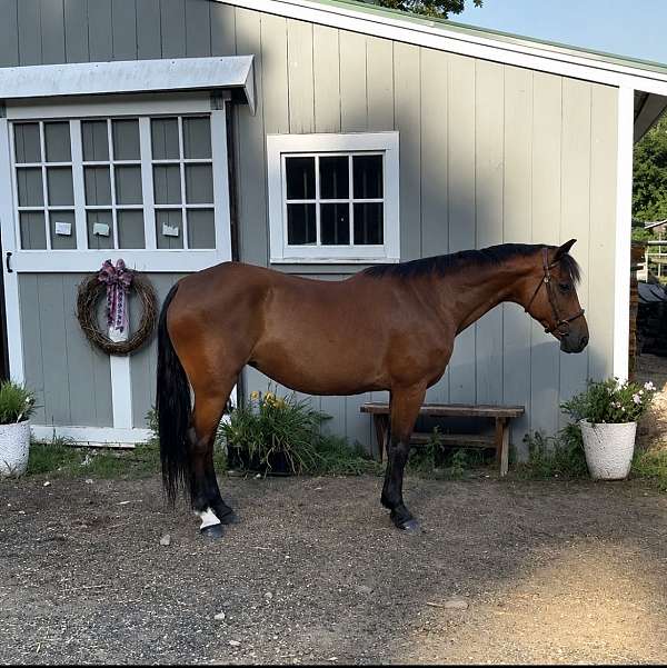 appendix-mare