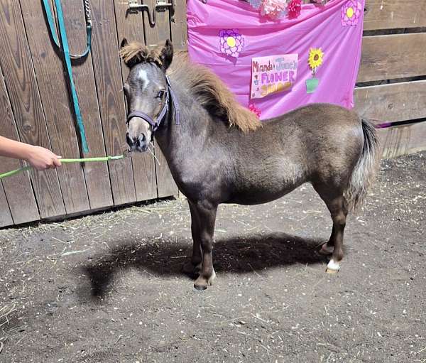too-cute-filly
