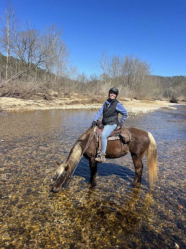 rocky-mountain-mare