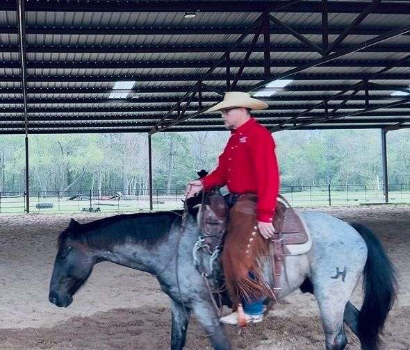 athletic-quarter-horse
