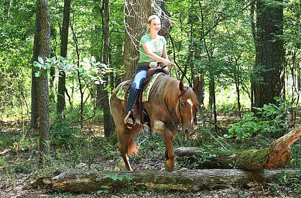 gelding-quarter-horse