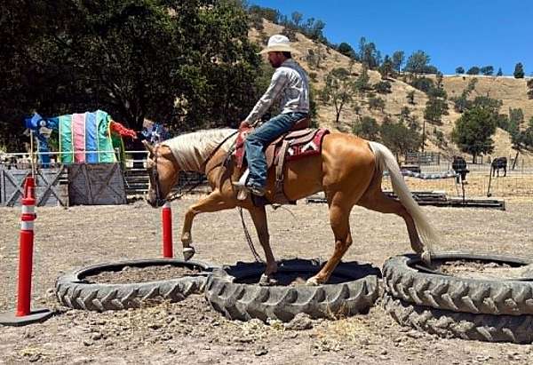 roping-quarter-horse