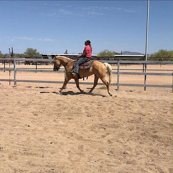 ranch-quarter-horse