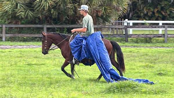 athletic-pony