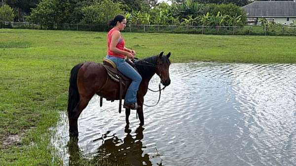 equitation-pony