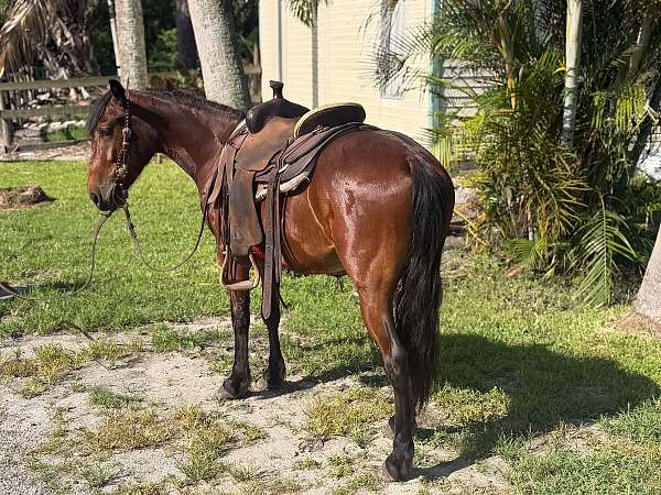 horsemanship-pony