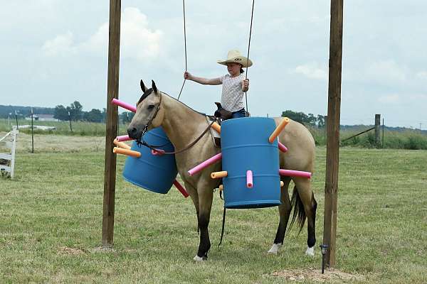 all-around-quarter-horse